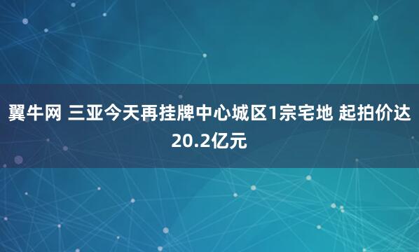 翼牛网 三亚今天再挂牌中心城区1宗宅地 起拍价达20.2亿元