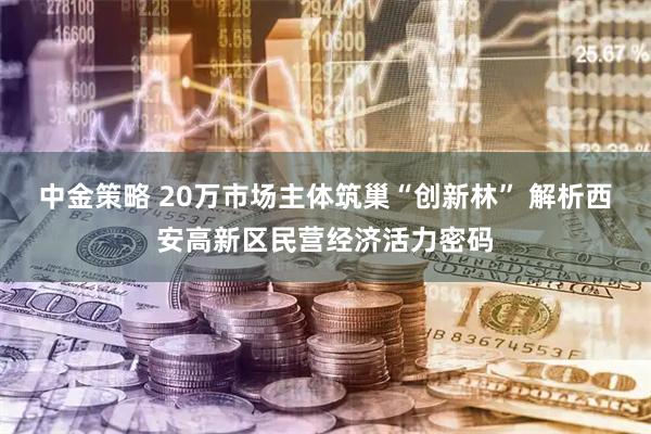 中金策略 20万市场主体筑巢“创新林” 解析西安高新区民营经济活力密码