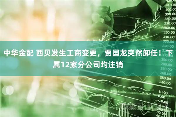 中华金配 西贝发生工商变更，贾国龙突然卸任！下属12家分公司均注销