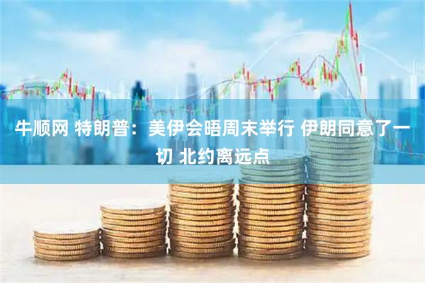 牛顺网 特朗普：美伊会晤周末举行 伊朗同意了一切 北约离远点